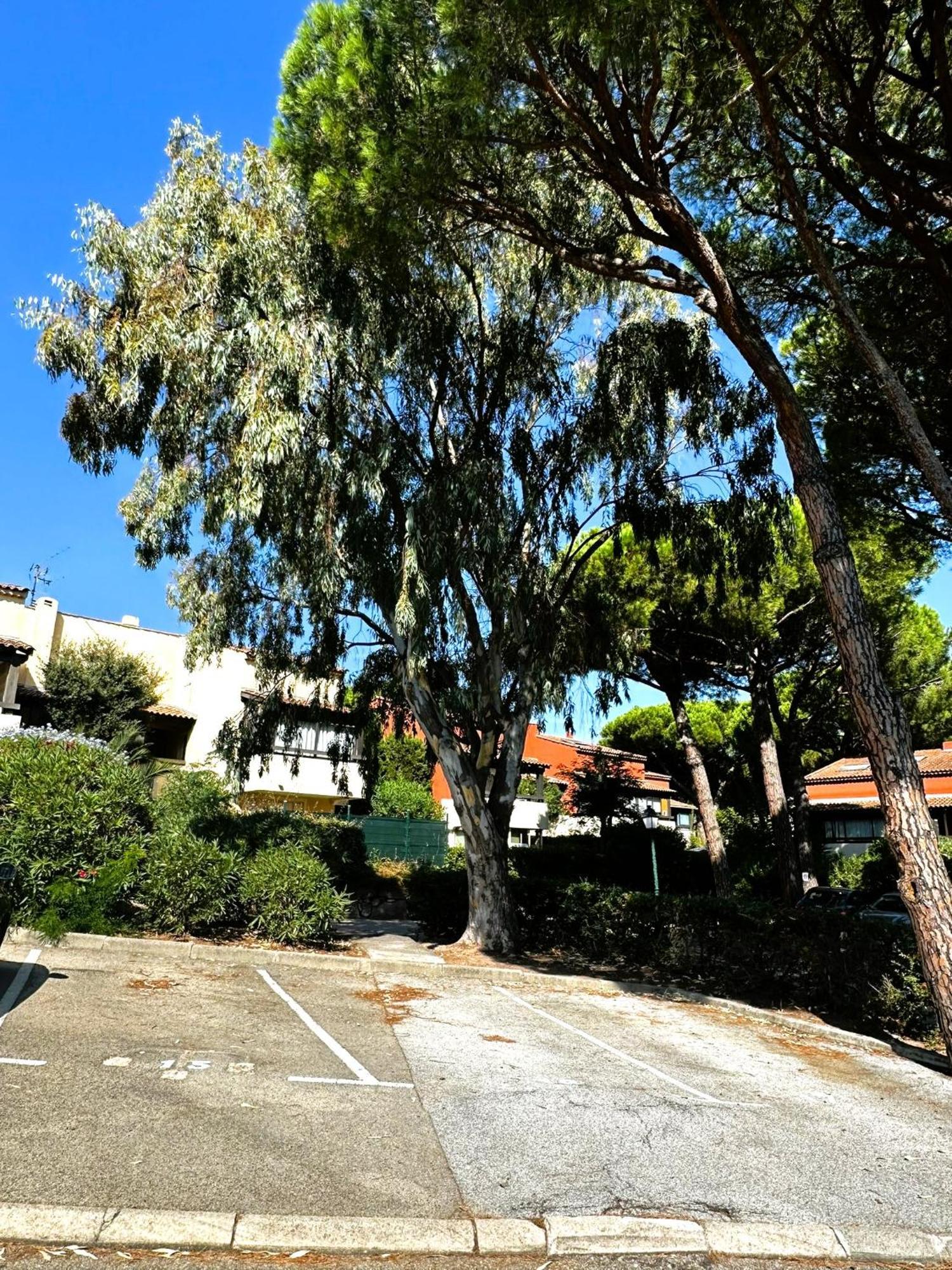 Frejus - Appartement 4 Personnes - Piscine 外观 照片